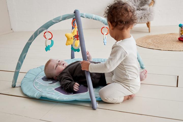 Produktbild Scandinavian Baby Products Zoo Activity Gym