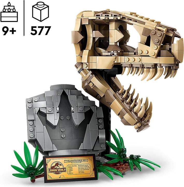 Produktbild LEGO Dinosaurier-Fossilien: T.-rex-Kopf (76964, LEGO Jurassic World)