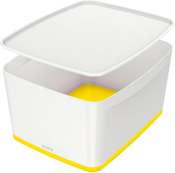 Leitz MyBox Aufbewahrungsbox (31.8 x 19.8 x 38.5 cm, 18 l)