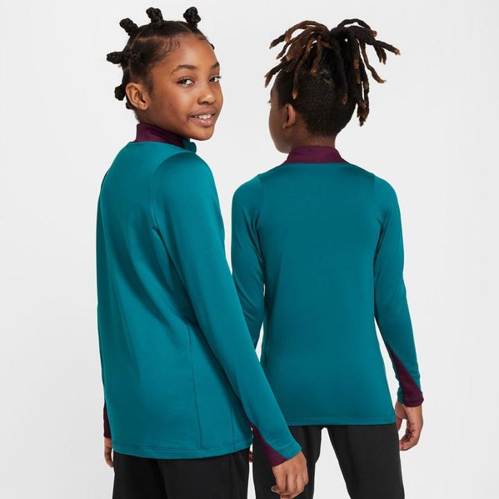 Actual product image Nike PSG Strike Drill Top (152, 158)