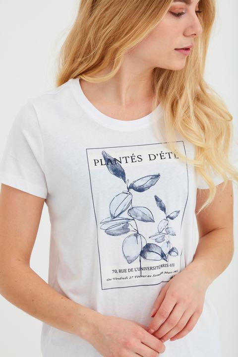 Image du produit Fransa FRAMPLANT 1 20609213 (XS)