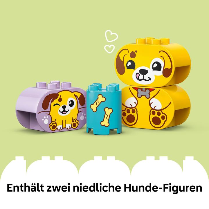 Produktbild LEGO Formsortierer: Welpenhaus
