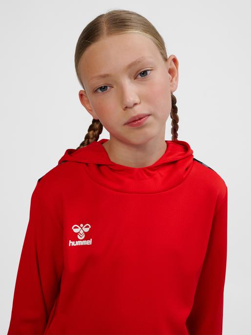 Immagine prodotto hummel Hmlauthentic Pl Hoodie Kids (116)