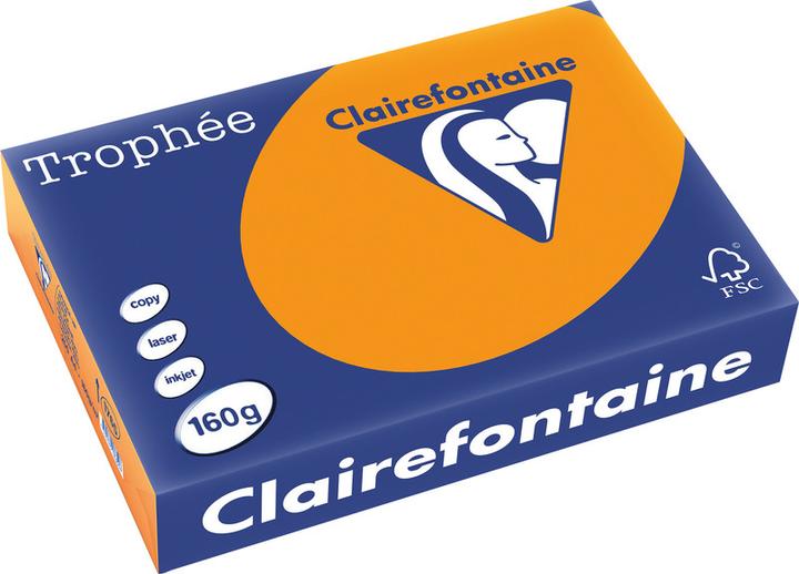 Produktbild Clairefontaine Universalpapier, farbig (160 g/m², 250 x, A4)