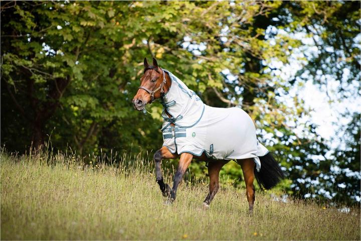 Produktbild Horseware Fliegendecke AmEco Bug (140 cm)