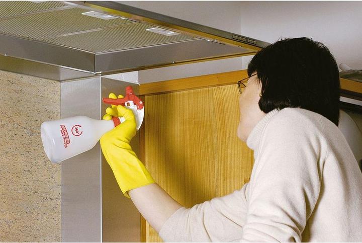 Actual product image Birchmeier Foxy Plus (0.50 l)