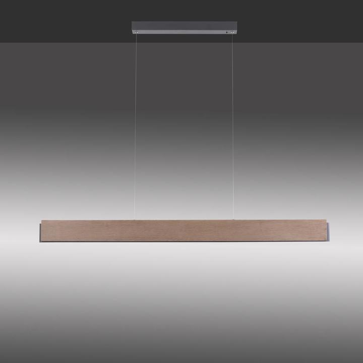 Image du produit Paul Neuhaus Palma (2000 lm)