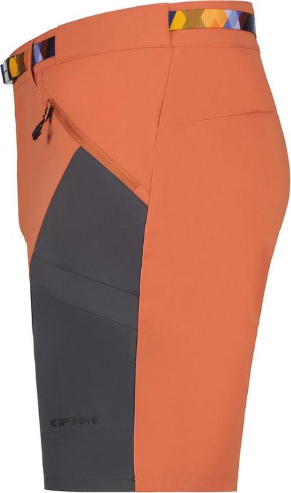 Actual product image Icepeak Delphos (46)