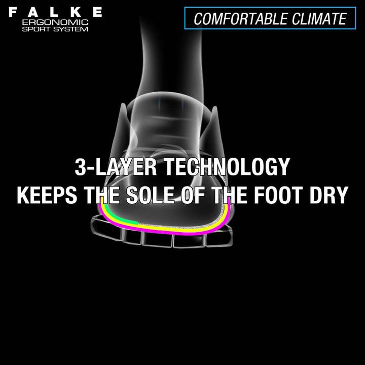 Image du produit Falke RU4 Invisible (39 - 41)