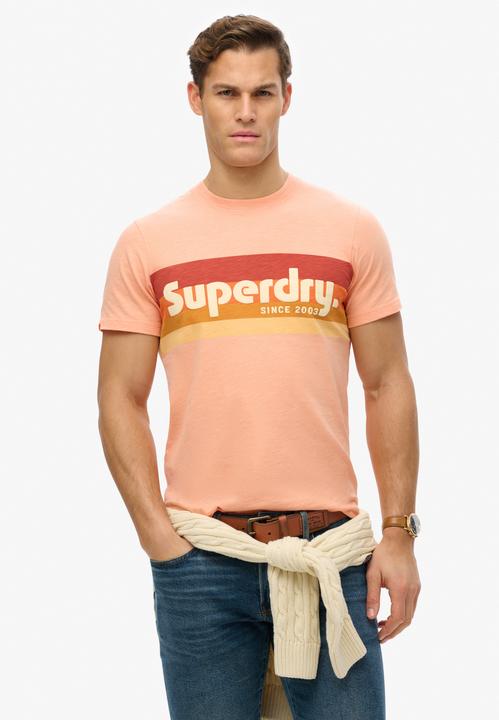 Actual product image Superdry Terrain Logo Stripe Relxed Tee (M)
