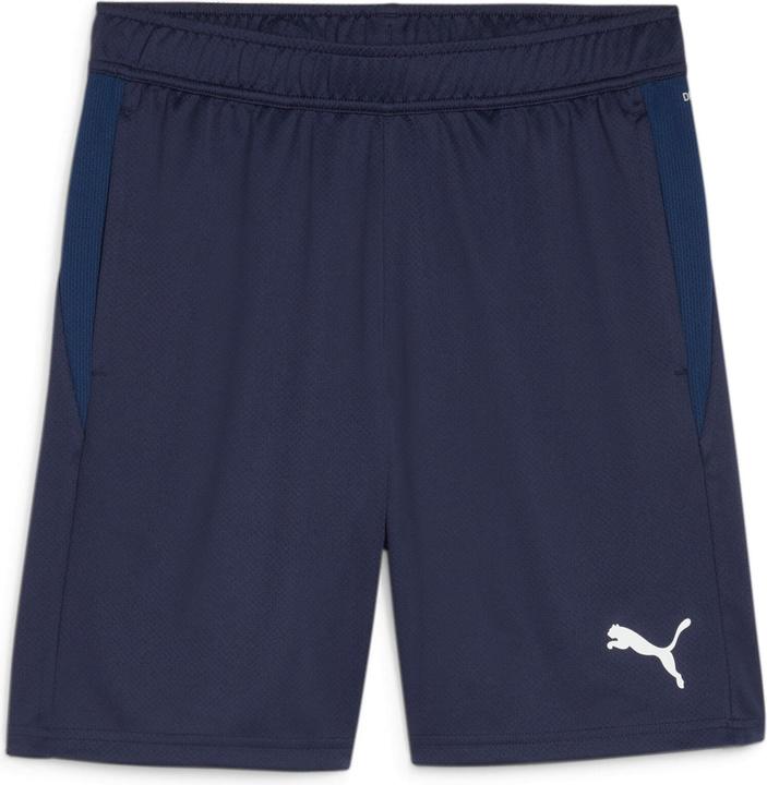 Puma teamGOAL Training Short