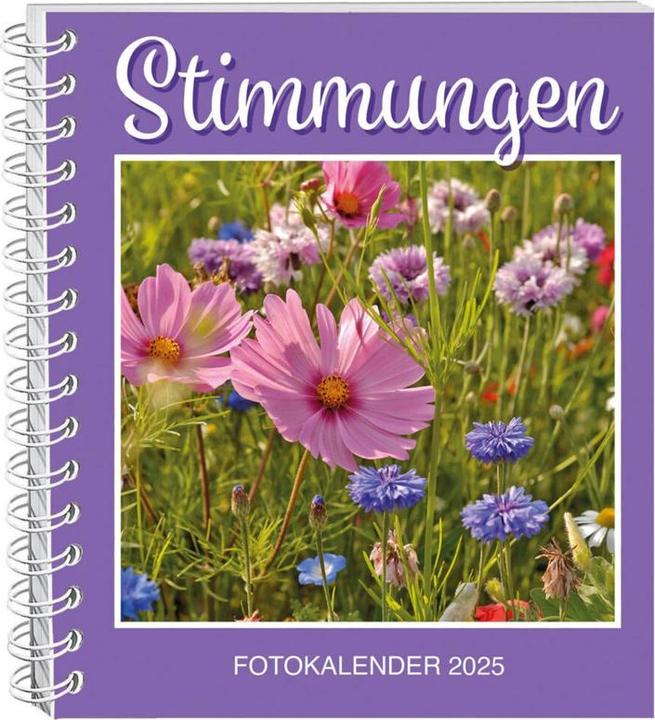 Stimmungen Fotokalender 2025 (17 x 20 cm, Deutsch)