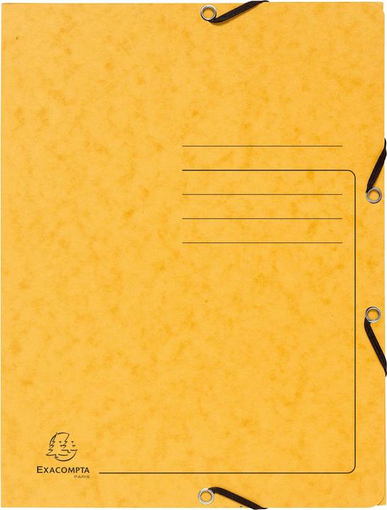 Actual product image Exacompta Corner folder 'Colorspan (A4, 425 x)