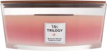 Actual product image WoodWick Blooming Orchard (454 g)