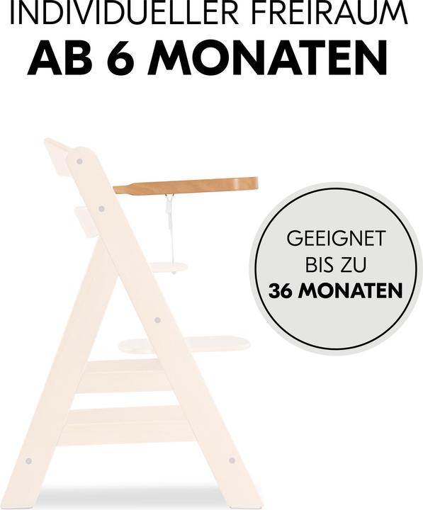 Actual product image Hauck Alpha Tray