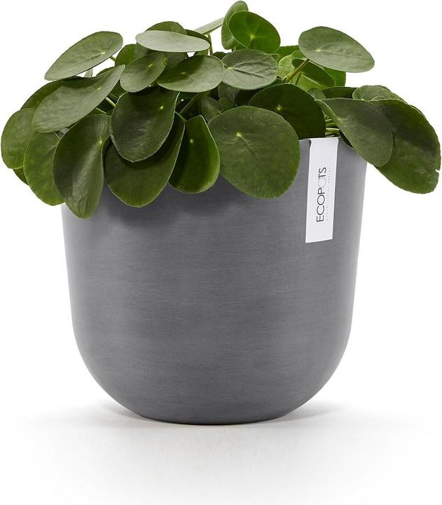 Produktbild Ecopots Oslo (25 cm)