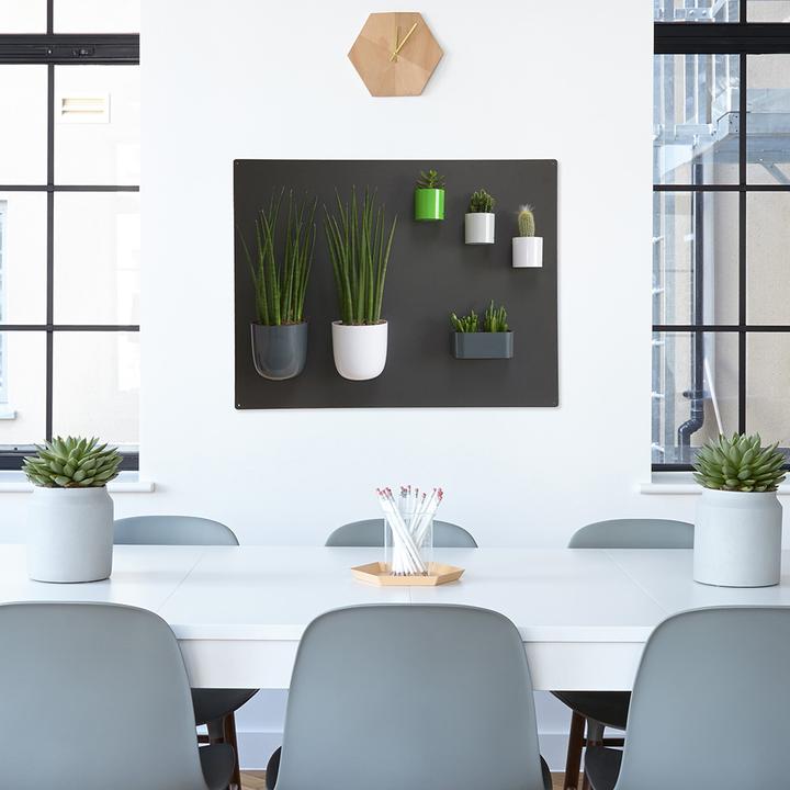 Actual product image Kalamitica Magnetic board