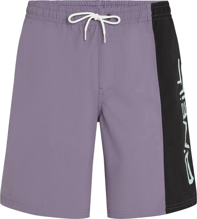 O'Neill RETRO 19" SWIMSHORTS