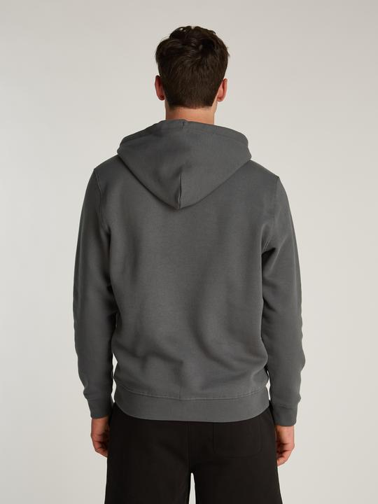 Produktbild Tommy Jeans Tjm Reg Linear Logo Hoodie Ext (S)