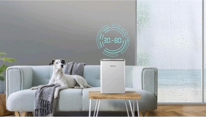 Actual product image Hisense D12HW (25 m², 12 l/24h)