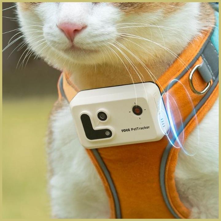 Image du produit Enabot Rola PetTracker – Hunde-Tracker mit eingebauter Kamera – Gelb