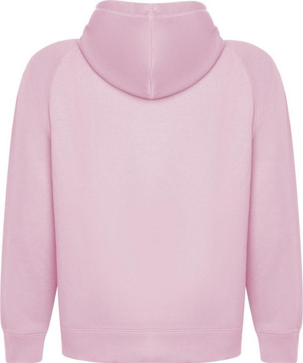 Produktbild Alpinia Vinson Kapuzenpullover (XS)