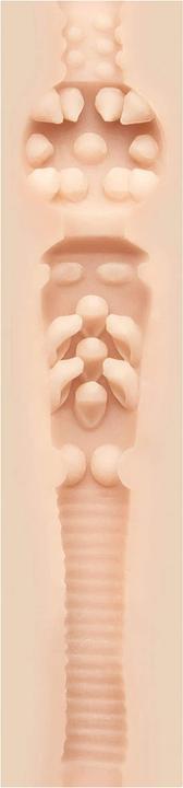 Image du produit Fleshlight Stoya Destroya