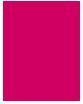 Productafbeelding Bourjois Rouge Velvet De Lipstick (09 Fuchsia Botté)