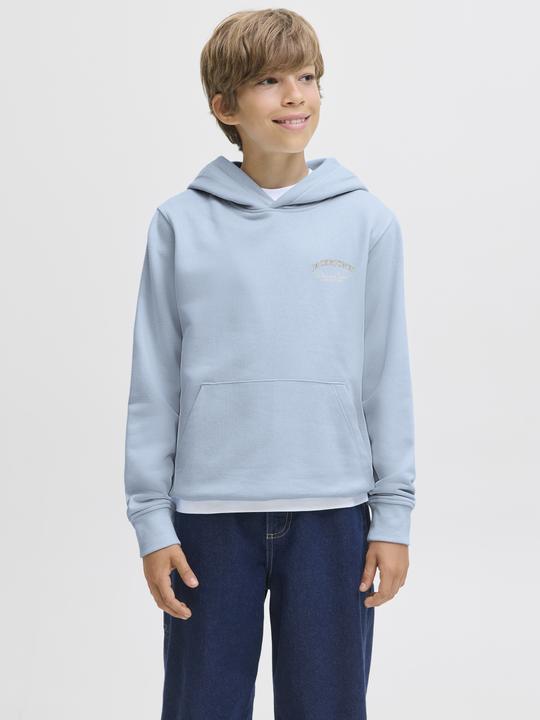 Actual product image Jack & Jones Jjebrandes Backp Relaxed Sweat H Sn Jnr (128)