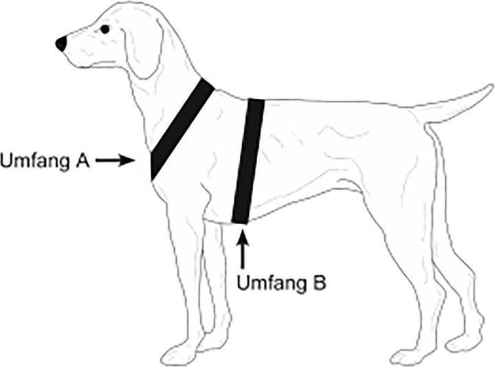 Produktbild Niggeloh Hundeführgeschirr Follow (XL, Hund, Hundesport)