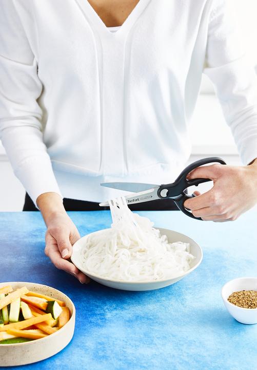 Produktbild Tefal Ingenio Ice Force Schere (21.20 cm)