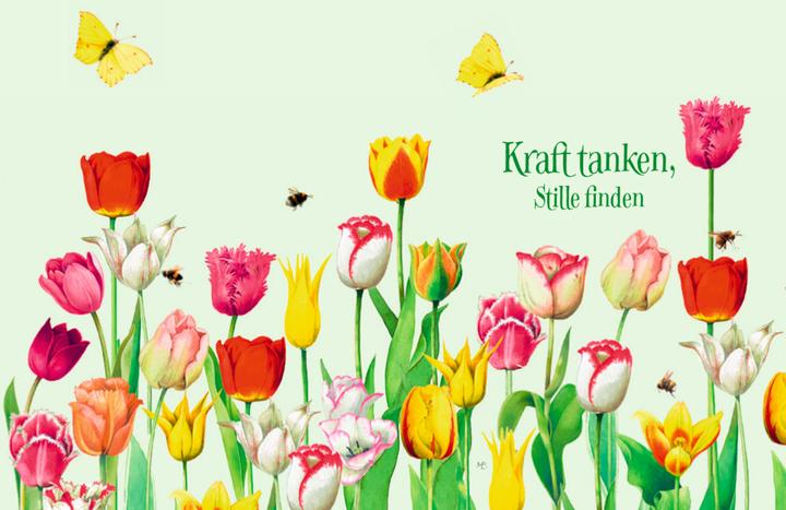 Produktbild Wo Blumen blühen, da lächelt die Welt (Deutsch, Beate Kahramanlar, Kristina Schaefer, Marjolein Bastin, 2022)