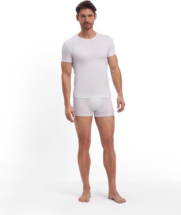 Actual product image Falke T-Shirt 2-Pack (XL)