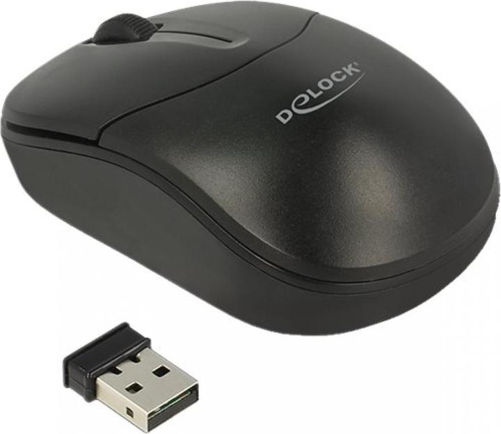 Delock 12494 USB 2.4 Ghz, Wireless (Kabellos)
