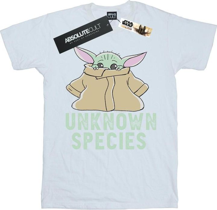 Star Wars The Mandalorian Unknown Species TShirt (XXL)