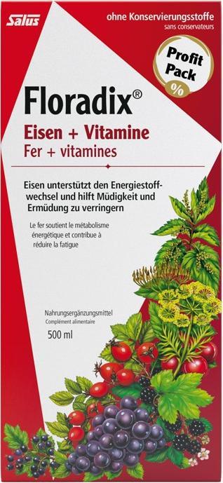 Produktbild Floradix Eisen (1 Stück, Flüssigkeit, 600 g)