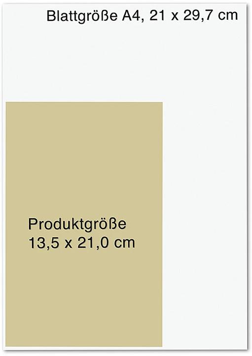 Actual product image Die Insel des Zorns (German, Alex Michaelides, 2024)