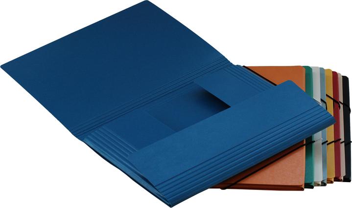 Produktbild Erola Pendenzenmappe A4 grün mit Fenster + 3 Klappen (A4, 1 x)
