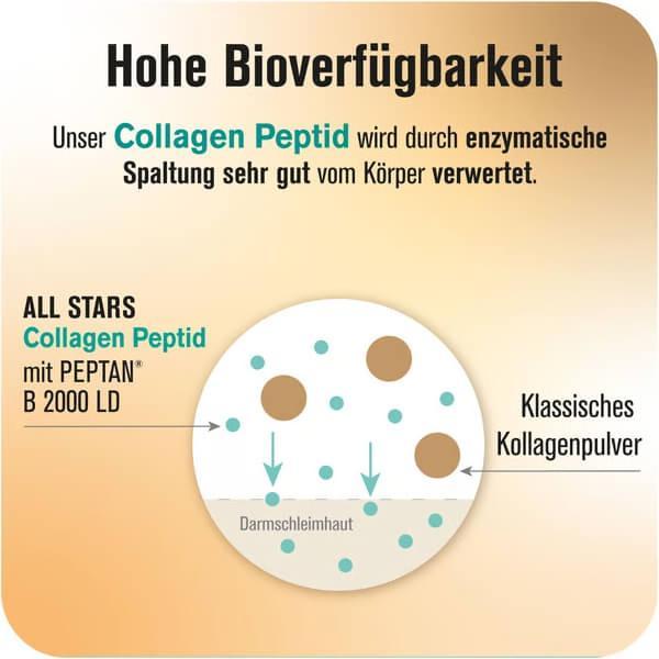 Produktbild All Stars Collagen Peptides (300g Dose) (1 Stück, Pulver, 300 g)