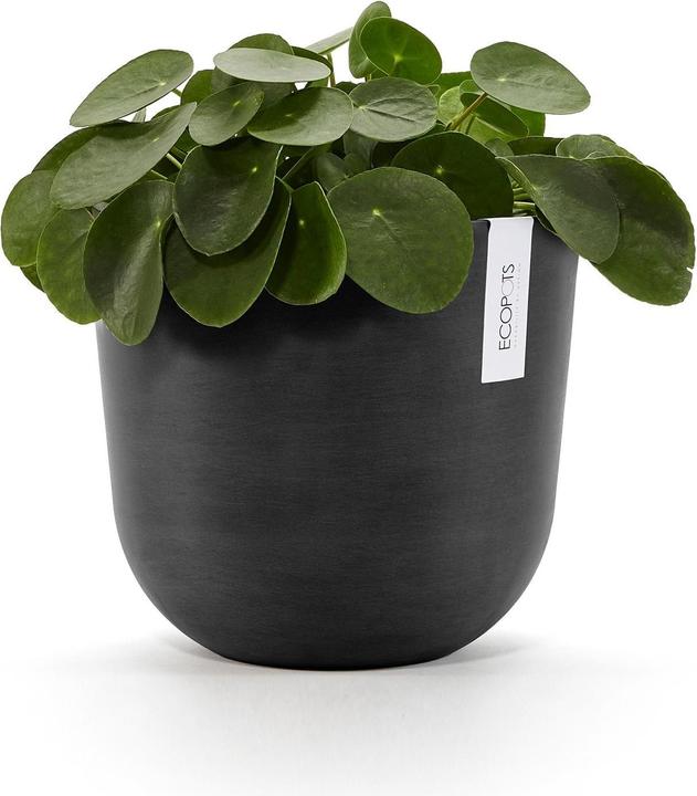 Produktbild Ecopots Oslo (25 cm)