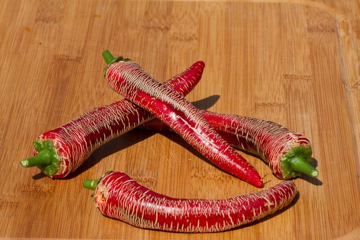 Immagine prodotto Zollinger Bio Chili, Eléphant (Germogli)