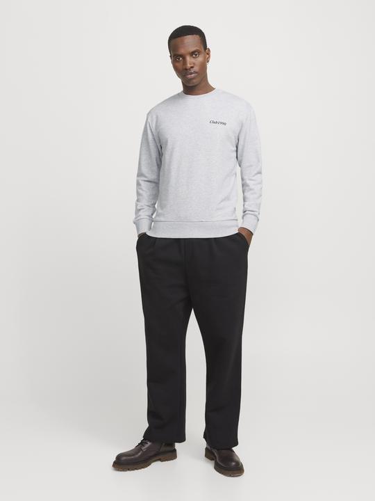Actual product image Jack & Jones Jjebradley Graphic Sweat Crew Noos (L)
