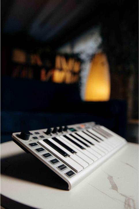 Immagine prodotto ESI Audiotechnik Xsynth