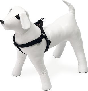 Productafbeelding Karlie Art Sportiv Plus Servies 1-2-3 Step and Go nieuwe universele kleuren Mix and Match (M, Hond, Loop)