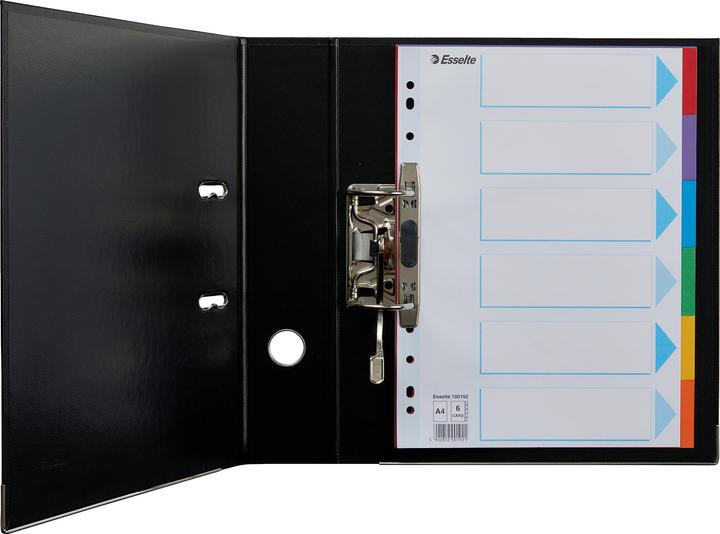 Actual product image Esselte Register cardboard