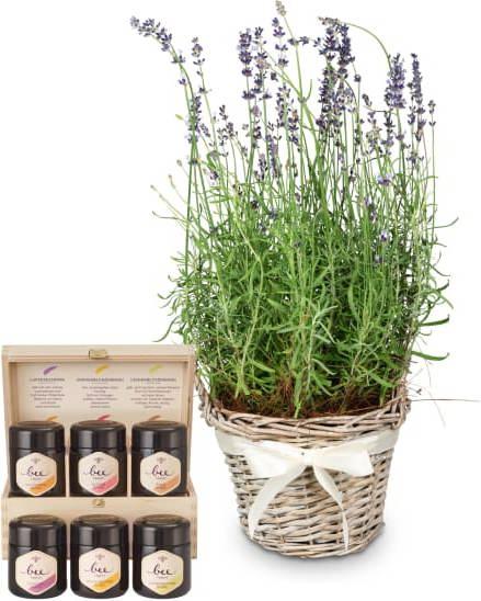 Fleurop Parfum de Provence (lavande) avec coffret cadeau de miel
