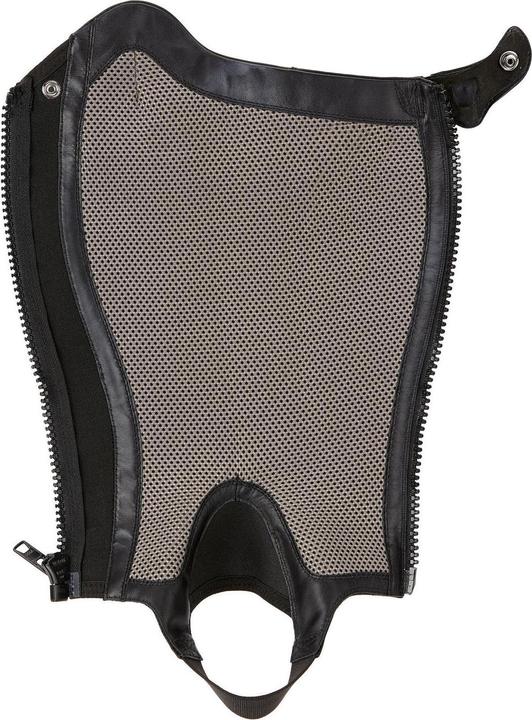 Actual product image Ariat Chaps V Sport (XS)