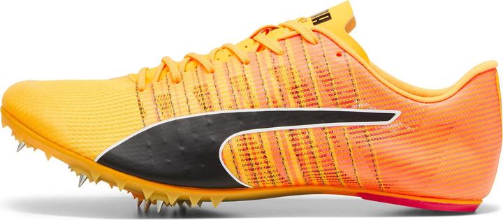 Actual product image Puma evoSPEED FUTURE 6 (44.5)