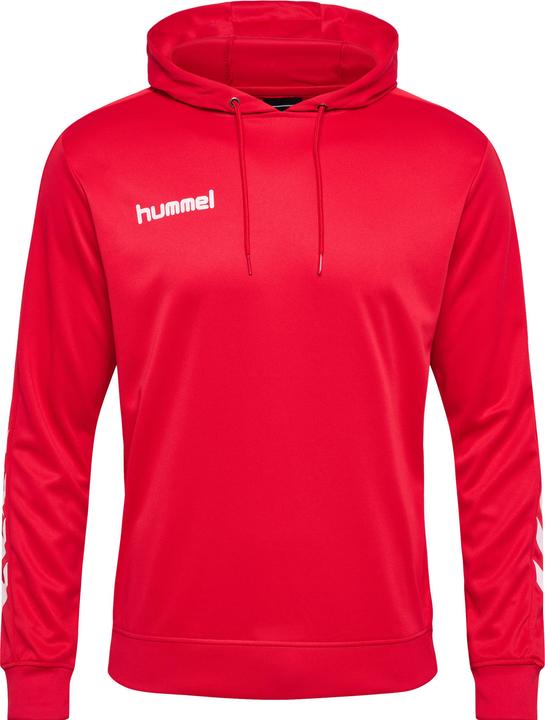 Immagine prodotto hummel Felpa Con Cappuccio In Polietilene Promozionale (S)