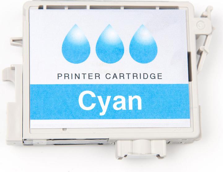 Image du produit RICOH 405863/GC-51CH Cartouche d'encre cyan 2 500 pages Cyan SG 3210 (C)